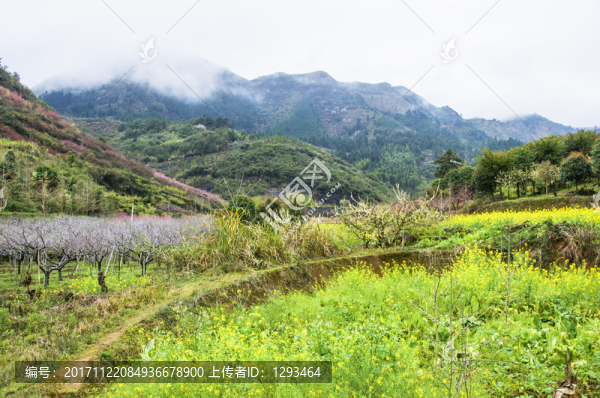 多彩田園