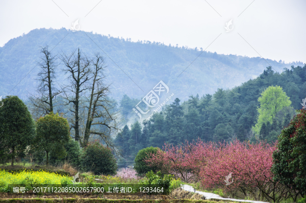多彩田野