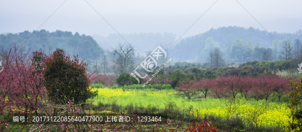美麗鄉(xiāng)村