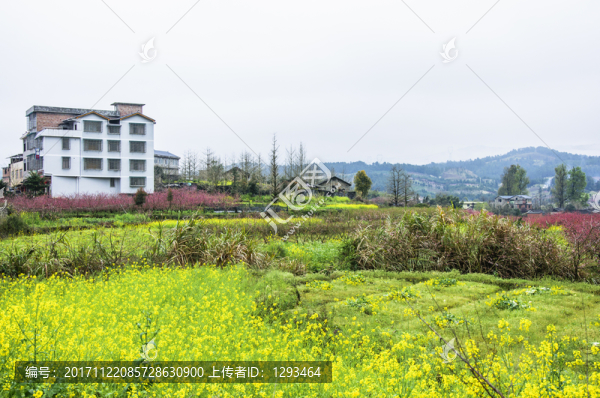 美麗鄉(xiāng)村