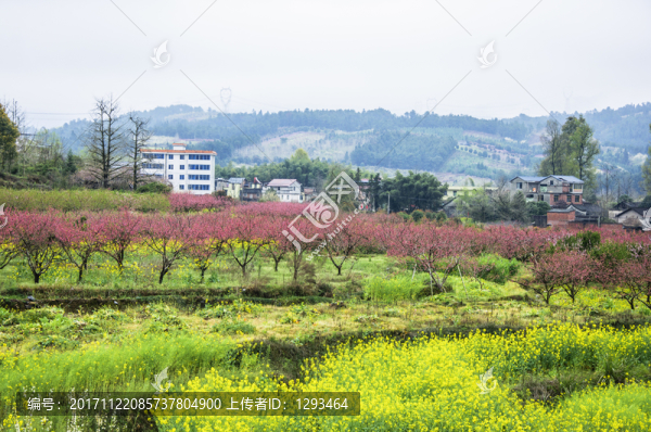 美麗鄉(xiāng)村