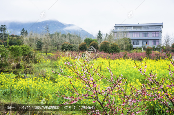 美麗鄉(xiāng)村