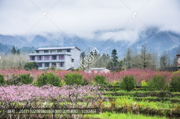 美麗鄉(xiāng)村