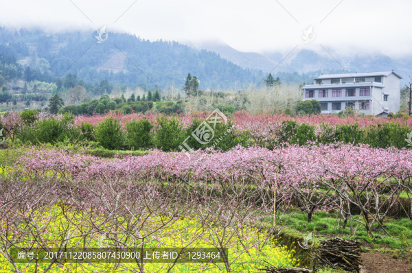 美麗鄉(xiāng)村