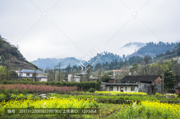 美麗鄉(xiāng)村