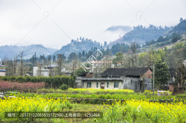 美麗鄉(xiāng)村