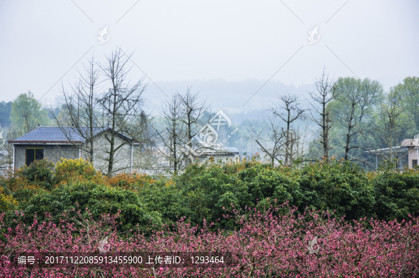 美麗鄉(xiāng)村