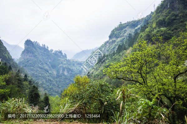 山野風(fēng)光