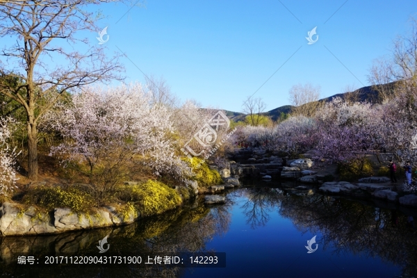 春天