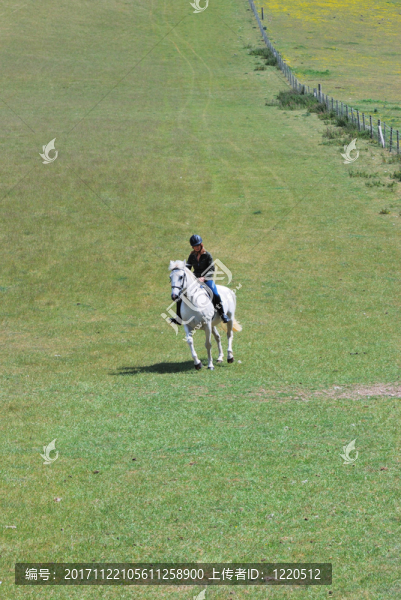 運動