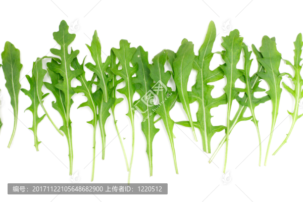 食物