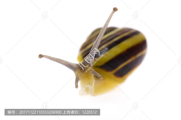 隔離的