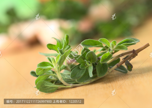 食物