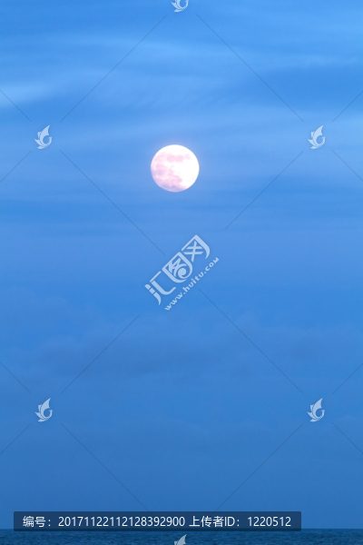 假日