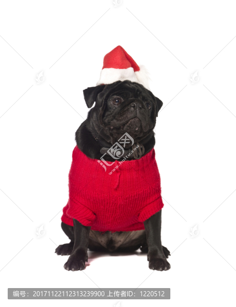 假日