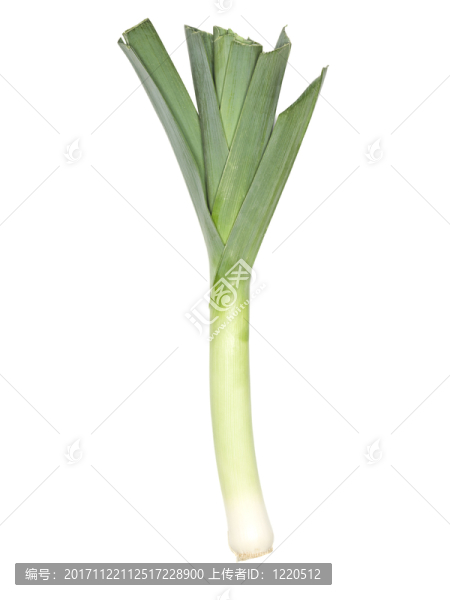 食物