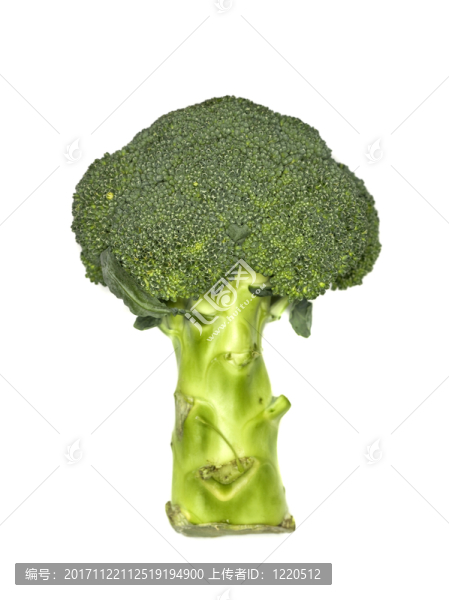 食物