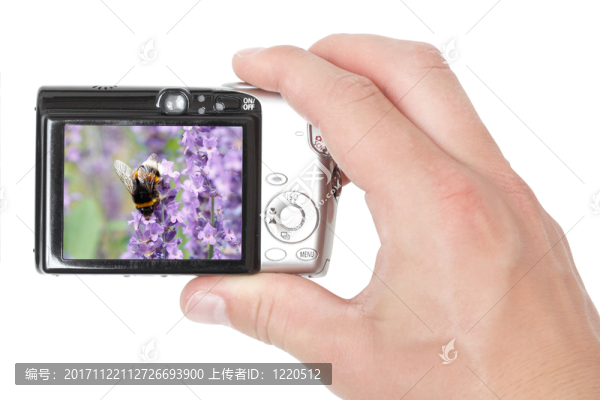 蟲