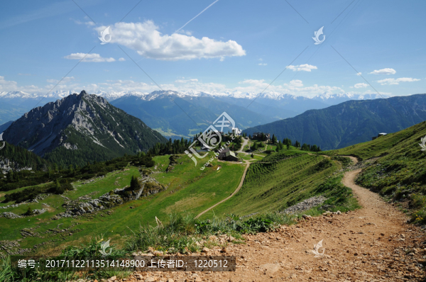 山