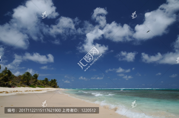 海灘