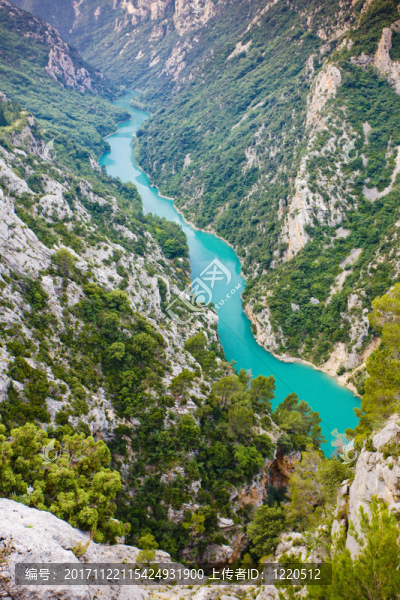 旅行