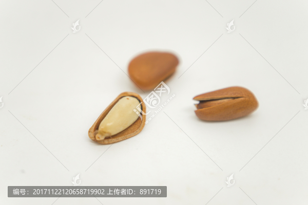 松子素材,高清大圖