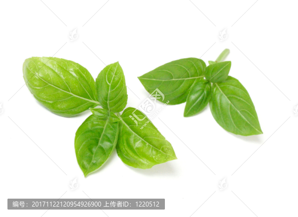 食物