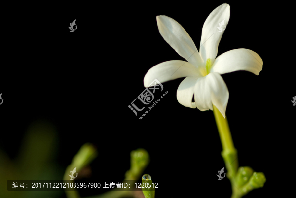 特寫(xiě)鏡頭