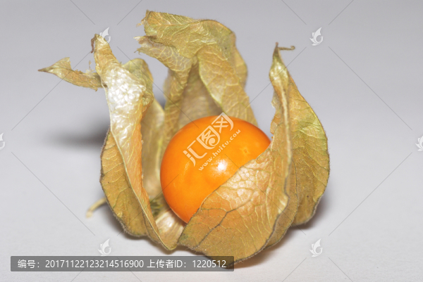 suesse酸漿
