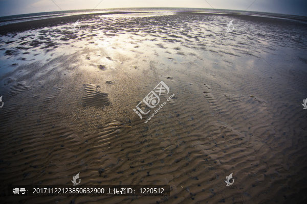 地平線