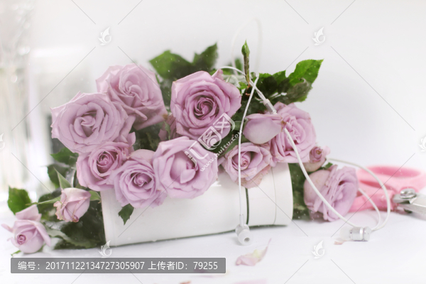 玫瑰花