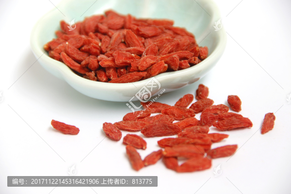 枸杞拍攝