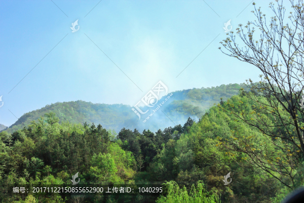 森林火災(zāi)煙霧