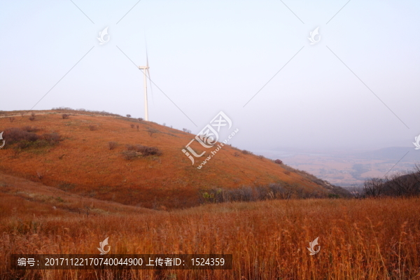 山上的秋草