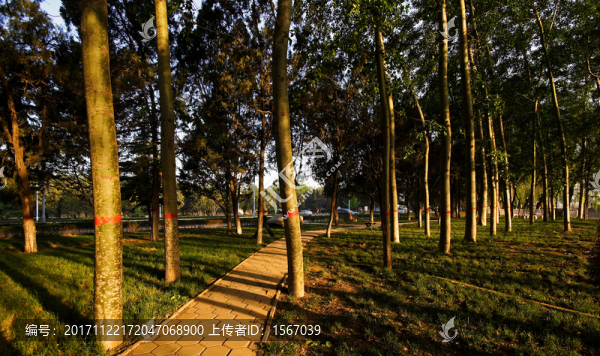 小景18