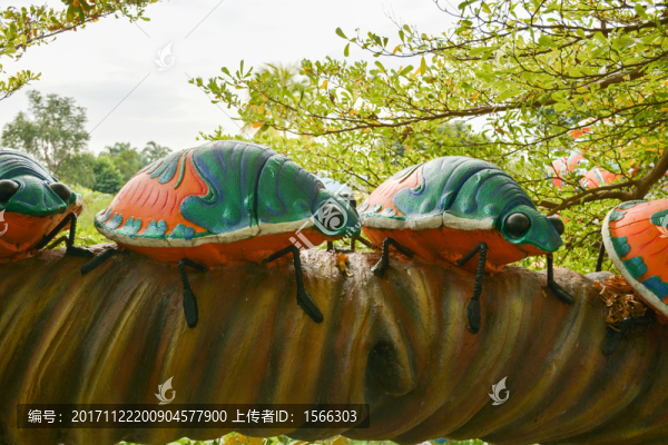 瓢蟲,甲蟲