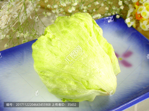 生菜,新鮮食材