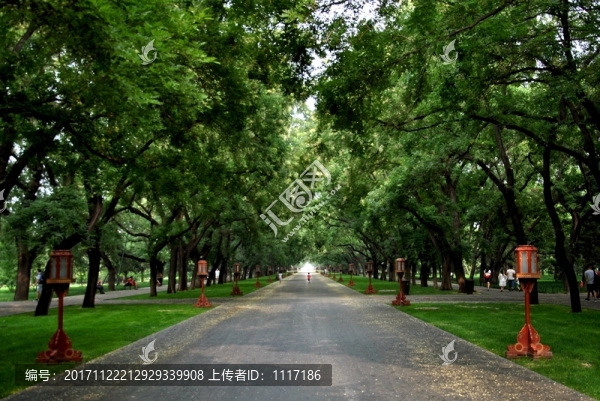 北京天壇綠蔭大道