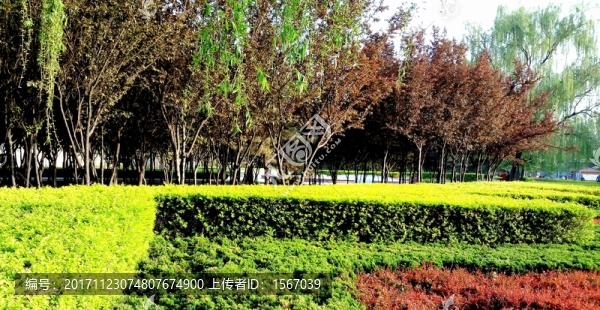 公園一角