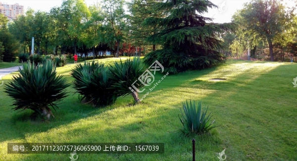 公園