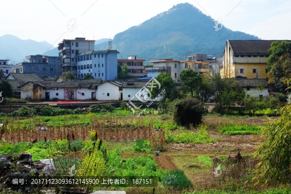 小鎮(zhèn)田園