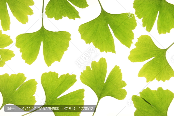 隔離的
