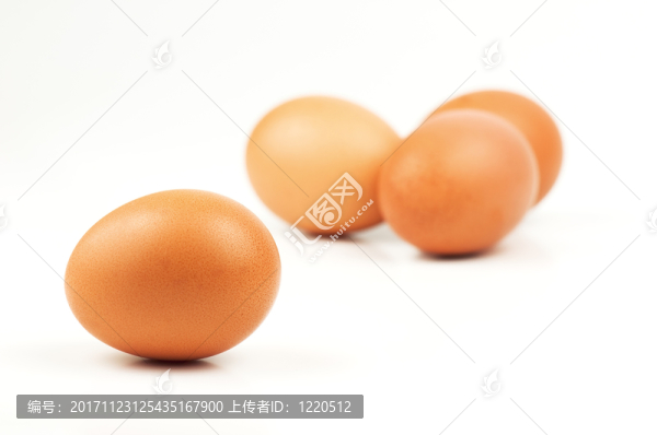 食物