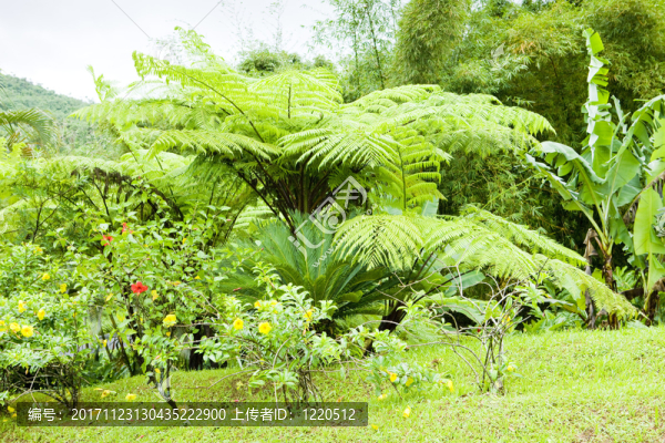 風(fēng)景