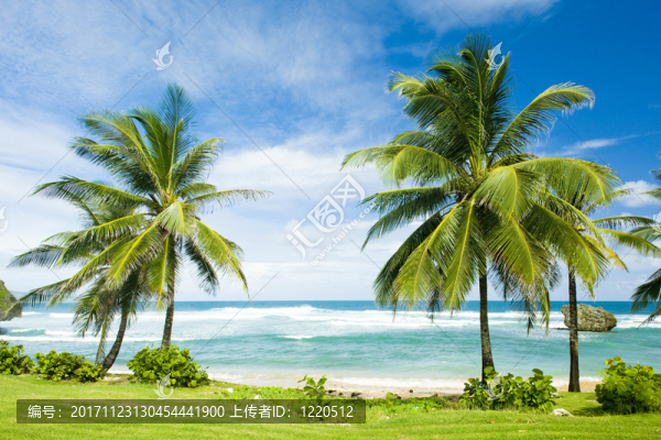 風(fēng)景