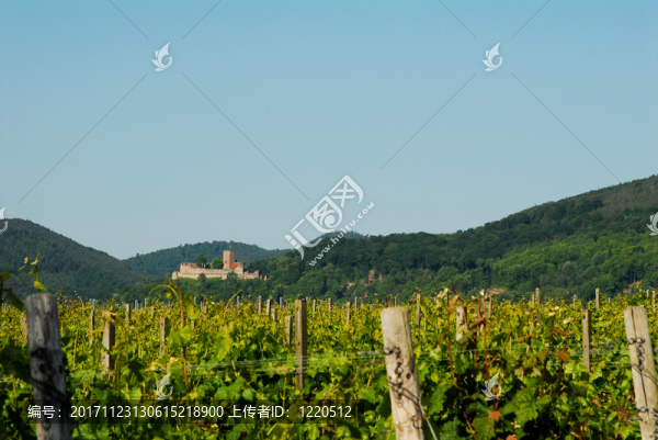 burg,landeck