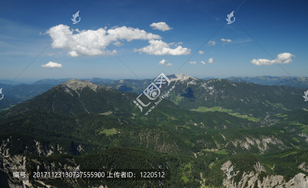 山