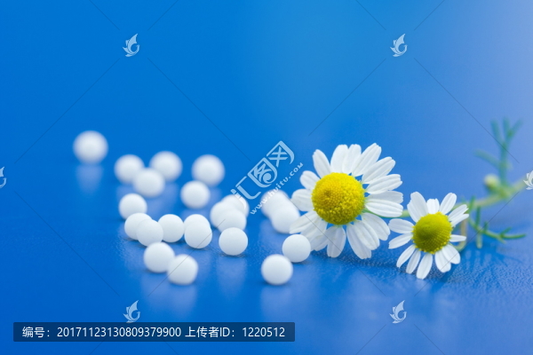替代的