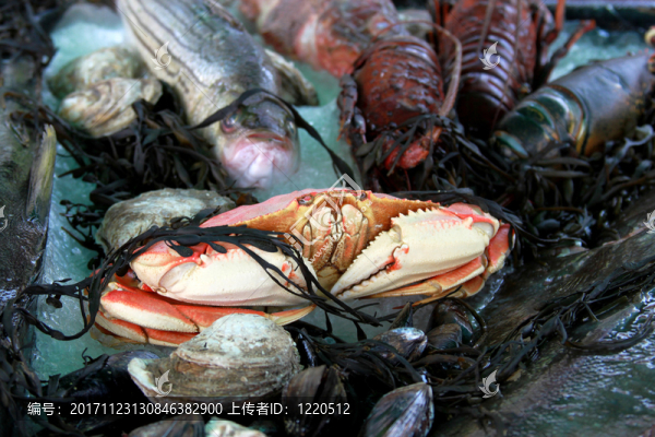 肌肉
