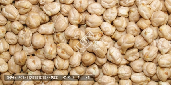 食物